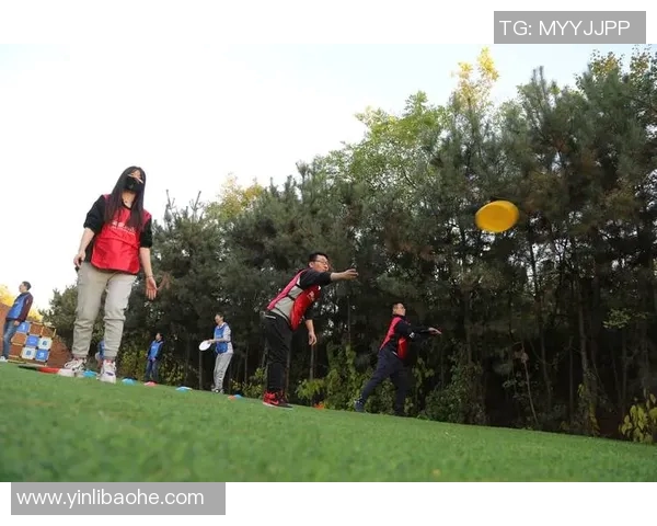 飞盘竞技的魅力：深入了解南京飞盘队的比赛技巧与经验分享MBA